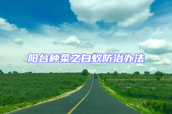 陽臺種菜之白蟻防治辦法