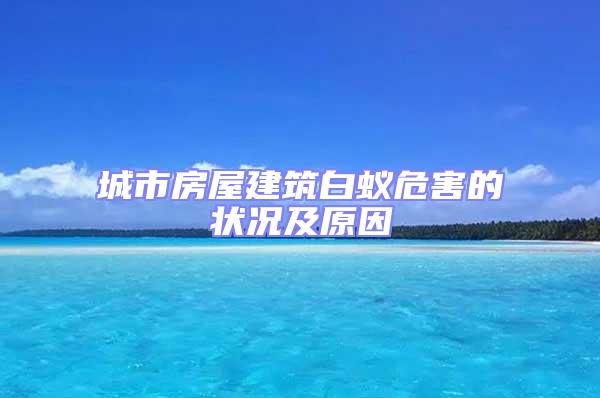 城市房屋建筑白蟻危害的狀況及原因