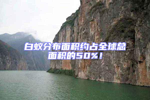 白蟻分布面積約占全球總面積的50%！