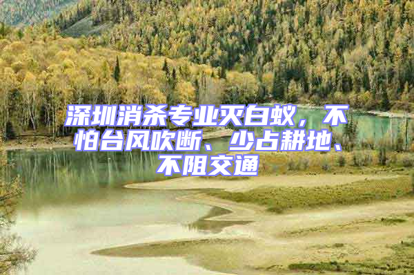 深圳消殺專業滅白蟻，不怕臺風吹斷、少占耕地、不阻交通