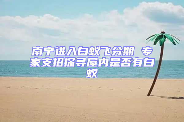南寧進(jìn)入白蟻飛分期 專(zhuān)家支招探尋屋內(nèi)是否有白蟻