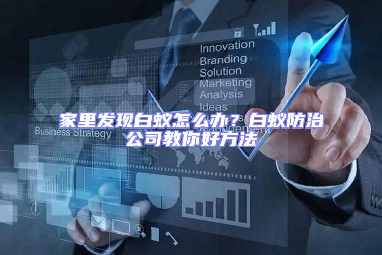 家里發現白蟻怎么辦？白蟻防治公司教你好方法
