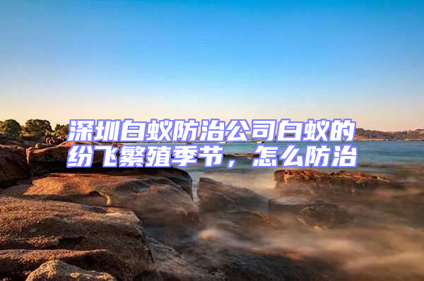 深圳白蟻防治公司白蟻的紛飛繁殖季節，怎么防治