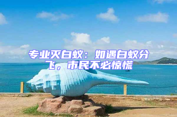 專業(yè)滅白蟻：如遇白蟻分飛，市民不必驚慌