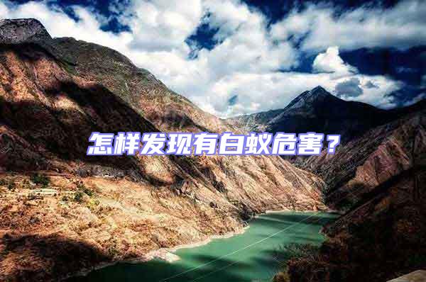 怎樣發現有白蟻危害？