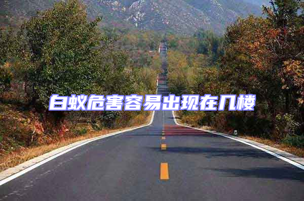 白蟻危害容易出現(xiàn)在幾樓