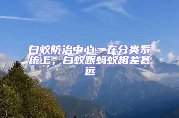 白蟻防治中心：在分類系統上，白蟻跟螞蟻相差甚遠