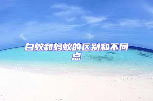 白蟻和螞蟻的區(qū)別和不同點(diǎn)
