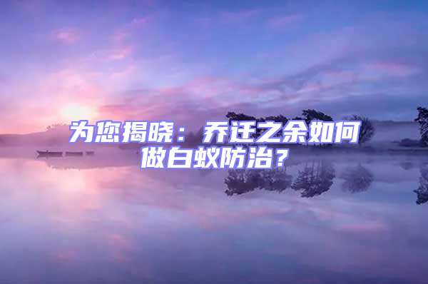 為您揭曉：喬遷之余如何做白蟻防治？