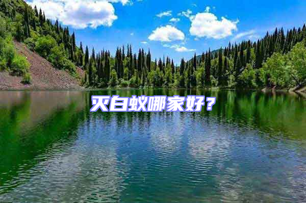 滅白蟻哪家好？