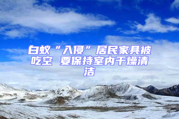 白蟻“入侵”居民家具被吃空 要保持室內干燥清潔