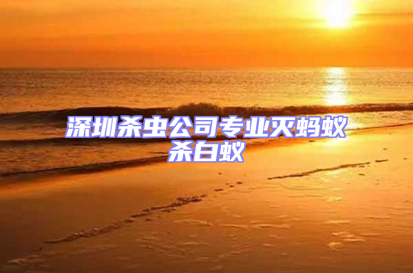 深圳殺蟲公司專業滅螞蟻殺白蟻