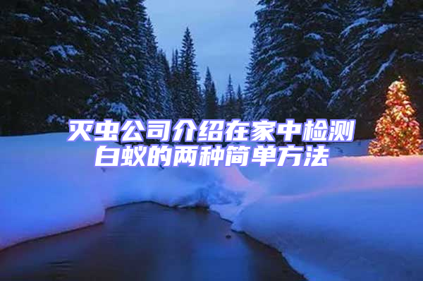 滅蟲公司介紹在家中檢測白蟻的兩種簡單方法