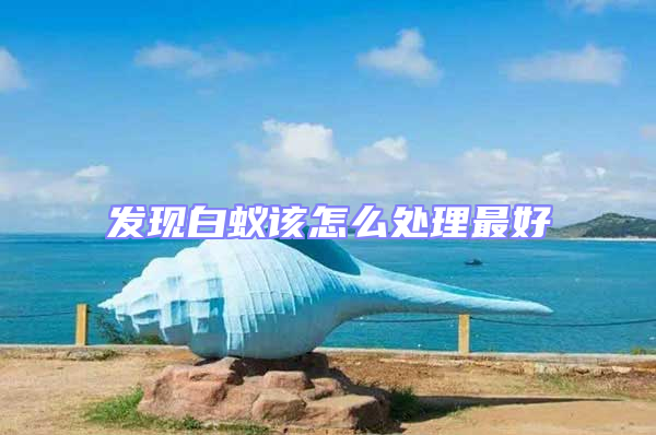 發現白蟻該怎么處理最好