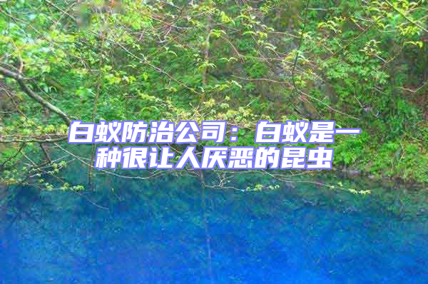 白蟻防治公司：白蟻是一種很讓人厭惡的昆蟲