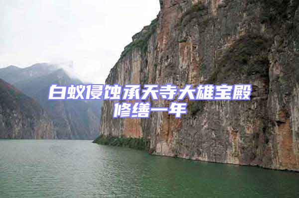 白蟻侵蝕承天寺大雄寶殿修繕一年