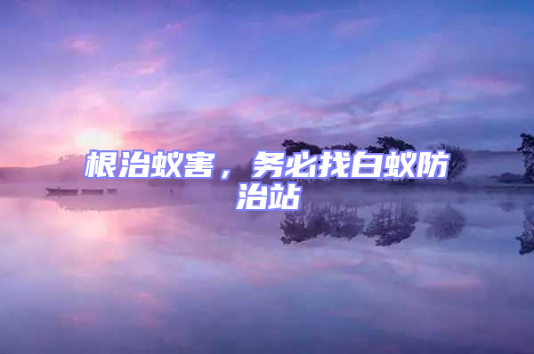 根治蟻害，務(wù)必找白蟻防治站