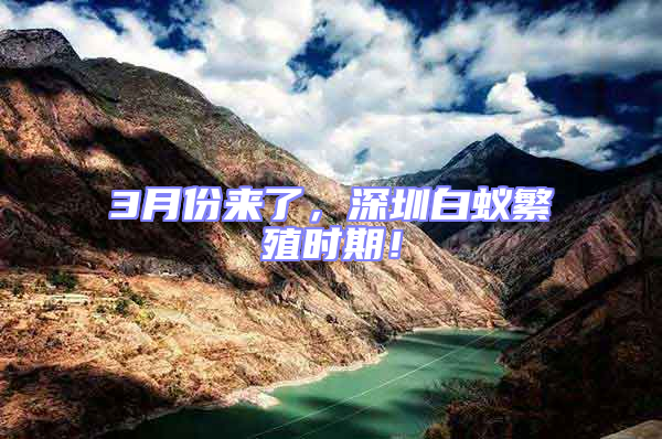 3月份來了，深圳白蟻繁殖時期！