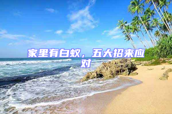 家里有白蟻，五大招來應(yīng)對