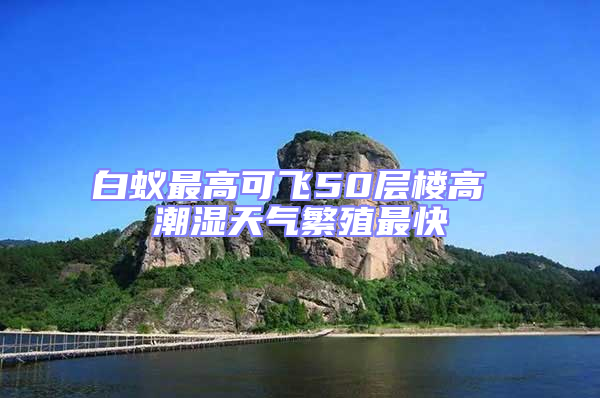 白蟻?zhàn)罡呖娠w50層樓高 潮濕天氣繁殖最快