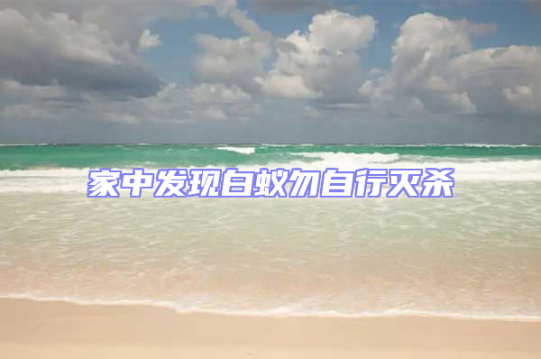 家中發現白蟻勿自行滅殺