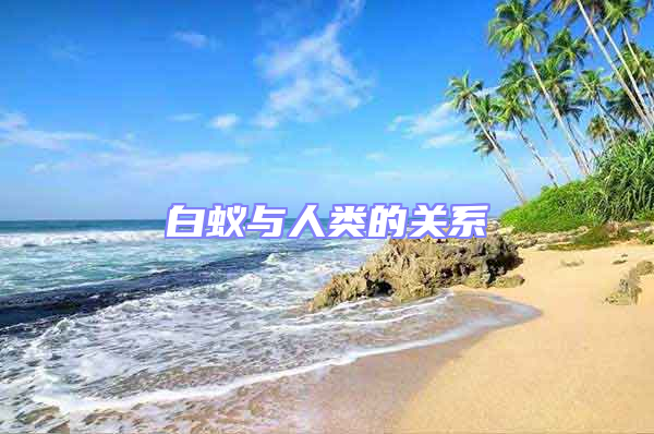 白蟻與人類的關(guān)系