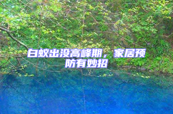 白蟻出沒高峰期，家居預防有妙招
