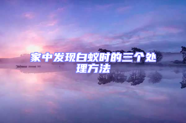 家中發現白蟻時的三個處理方法