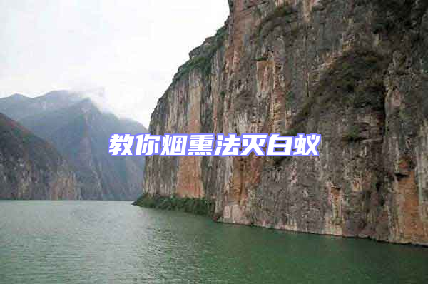 教你煙熏法滅白蟻