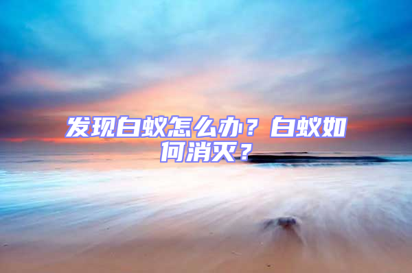 發現白蟻怎么辦？白蟻如何消滅？