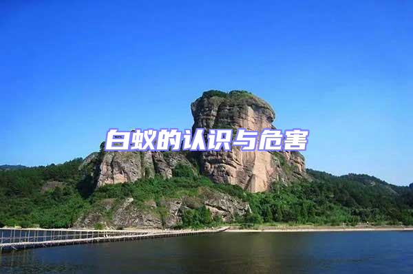 白蟻的認識與危害