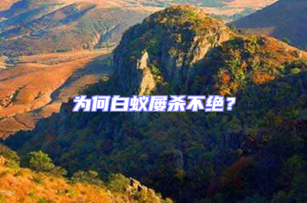為何白蟻屢殺不絕？