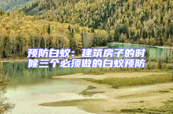 預防白蟻：建筑房子的時候三個必須做的白蟻預防