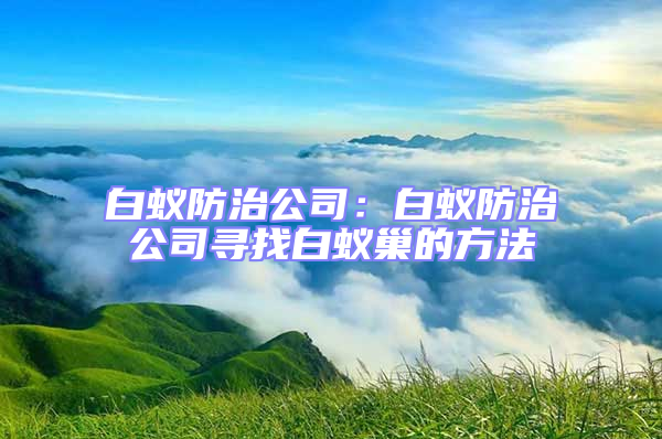 白蟻防治公司：白蟻防治公司尋找白蟻巢的方法