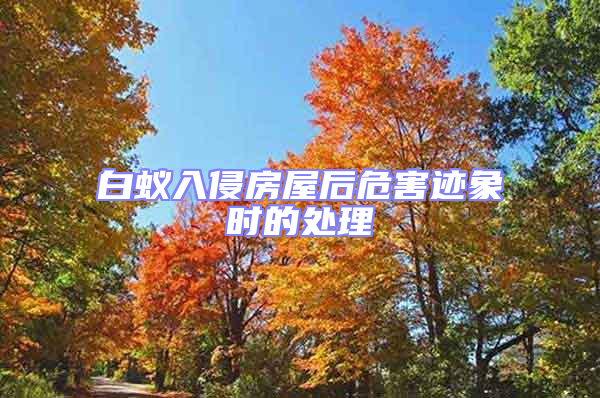 白蟻入侵房屋后危害跡象時的處理