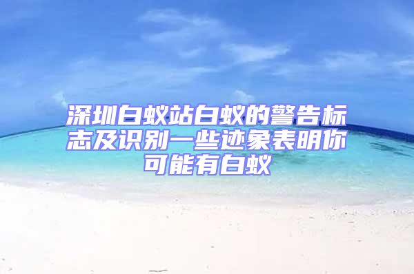 深圳白蟻站白蟻的警告標志及識別一些跡象表明你可能有白蟻