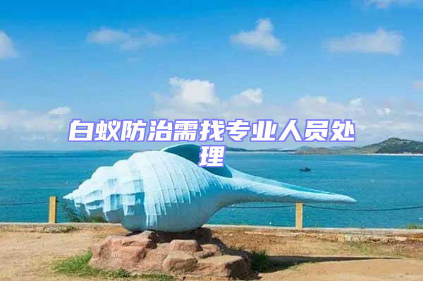 白蟻防治需找專業(yè)人員處理