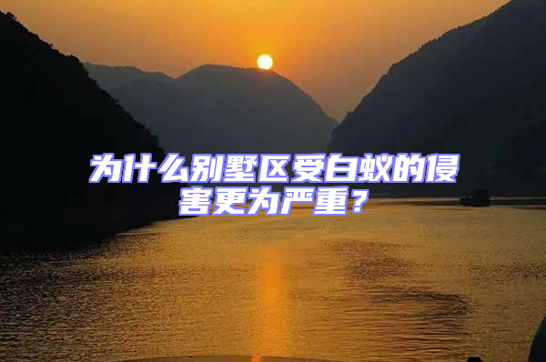 為什么別墅區受白蟻的侵害更為嚴重？