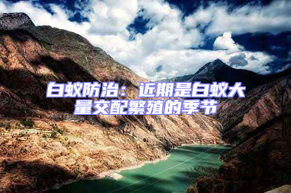 白蟻防治：近期是白蟻大量交配繁殖的季節(jié)