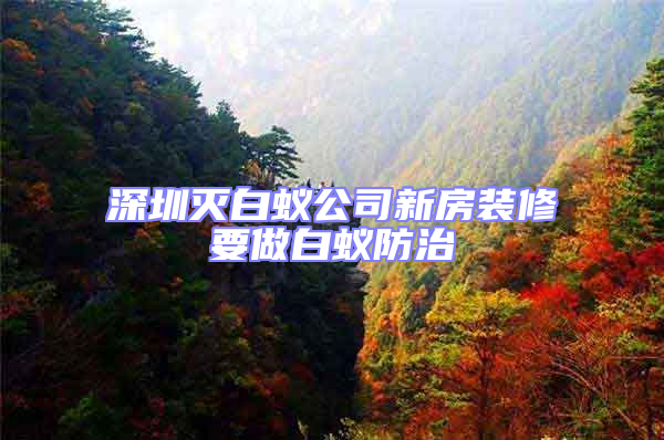 深圳滅白蟻公司新房裝修要做白蟻防治