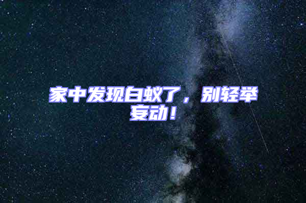 家中發(fā)現(xiàn)白蟻了，別輕舉妄動！