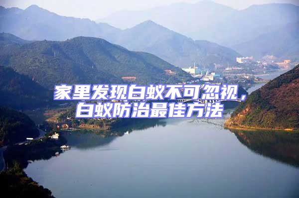 家里發現白蟻不可忽視，白蟻防治最佳方法