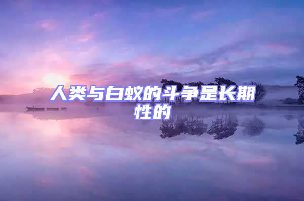 人類與白蟻的斗爭是長期性的