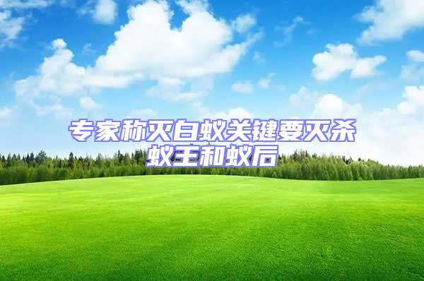 專家稱滅白蟻關鍵要滅殺蟻王和蟻后