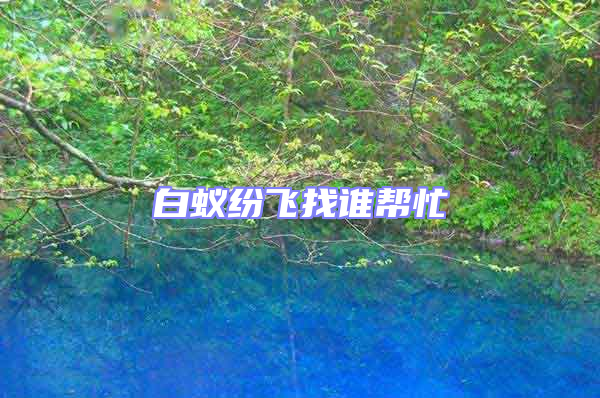 白蟻紛飛找誰幫忙