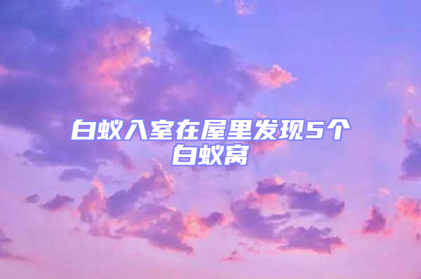 白蟻入室在屋里發(fā)現(xiàn)5個(gè)白蟻窩