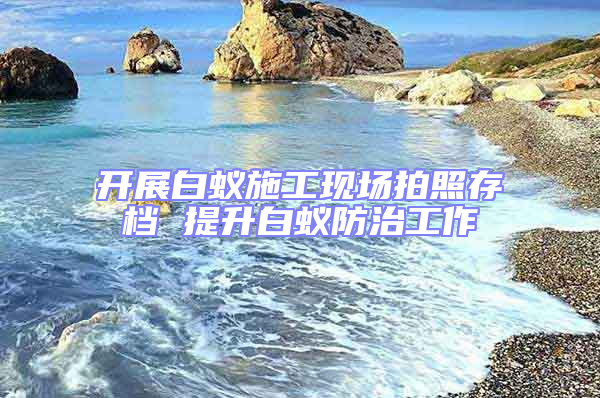 開展白蟻施工現場拍照存檔 提升白蟻防治工作