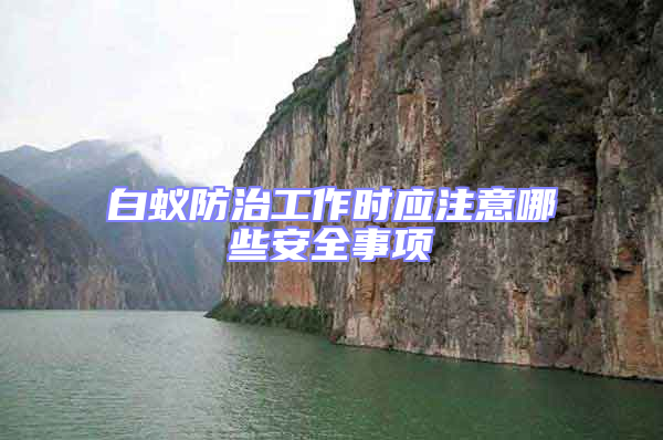 白蟻防治工作時應(yīng)注意哪些安全事項