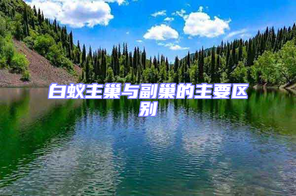 白蟻主巢與副巢的主要區(qū)別