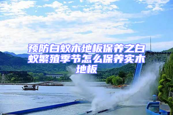 預防白蟻木地板保養之白蟻繁殖季節怎么保養實木地板